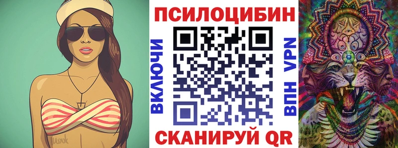 Псилоцибиновые грибы Psilocybine cubensis  Балахна 