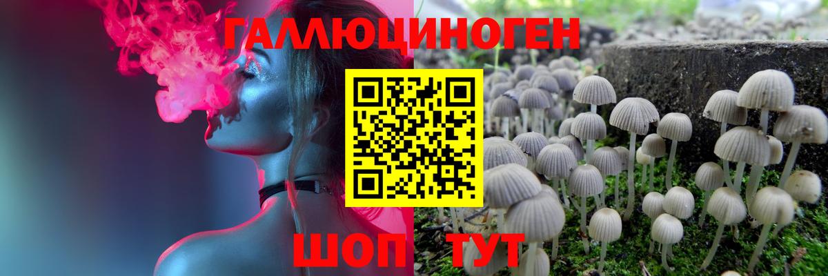 Псилоцибиновые грибы Psilocybe Балахна