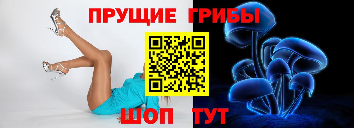 Балахна  Галлюциногенные грибы MAGIC MUSHROOMS  Вход с VPN 